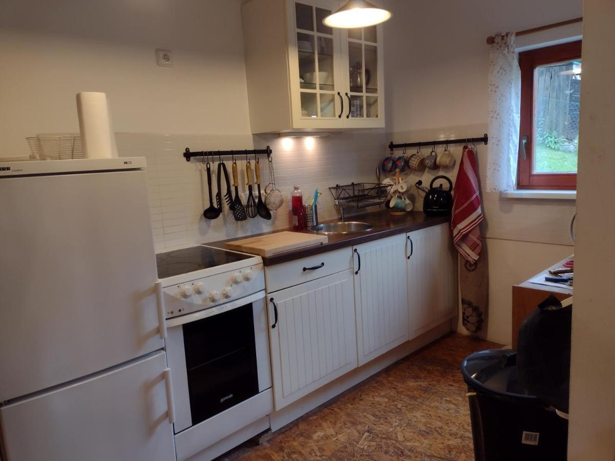 Chata Dvirka Zelezny Brod Exterior foto