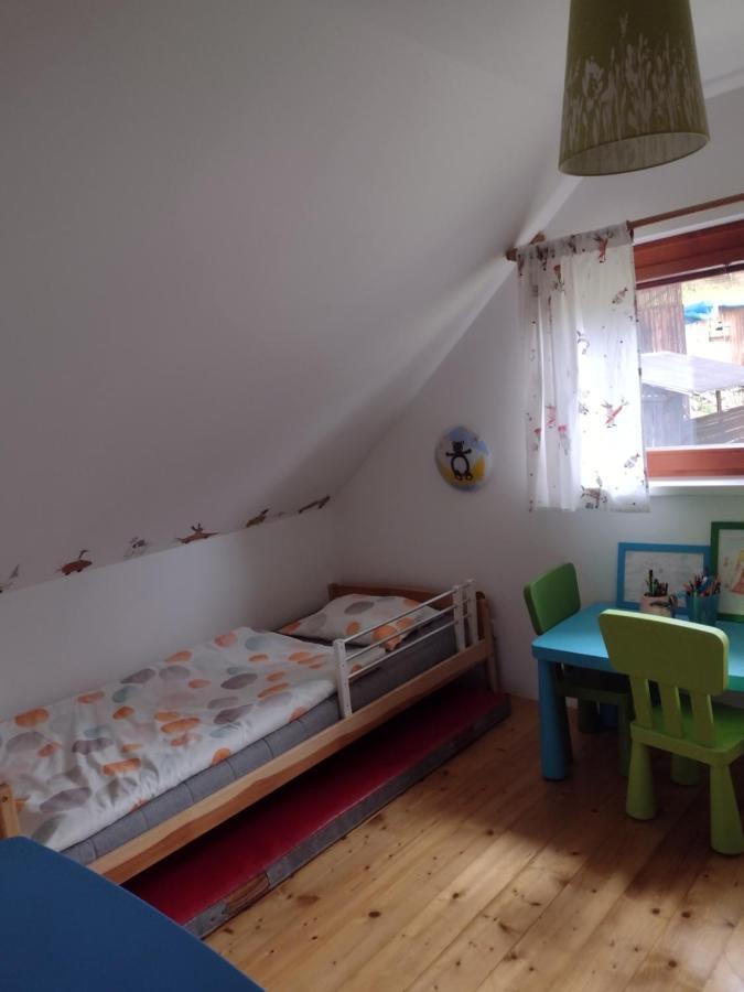 Chata Dvirka Zelezny Brod Exterior foto
